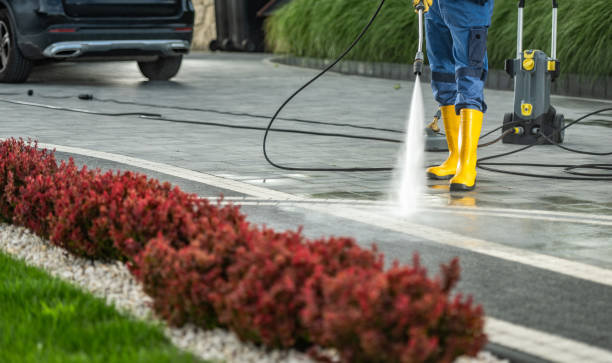 Best Fence Cleaning and Maintenance in Lakewood Park, TN